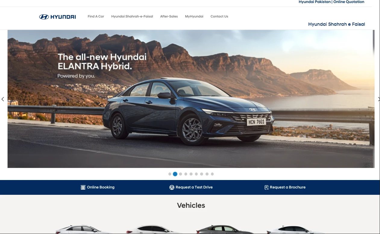nweb solution hyundai client
